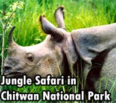 Jugle Safari - Chitwan National Park